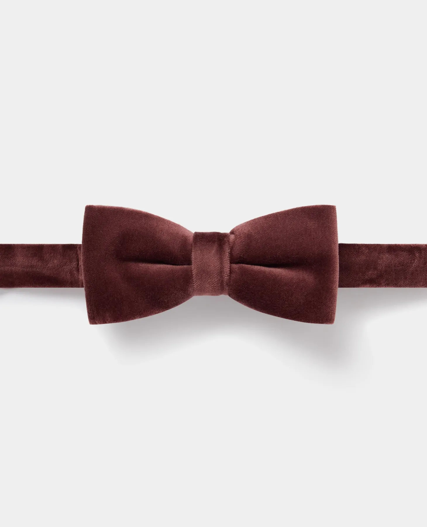 Velvet Bow Tie